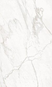 GRASSI_WHITE_320x160_2-min-e1655888981132